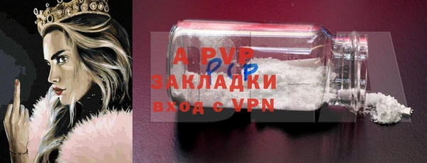 прущий лед Новозыбков