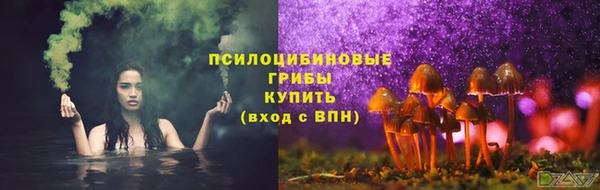 стаф Новодвинск