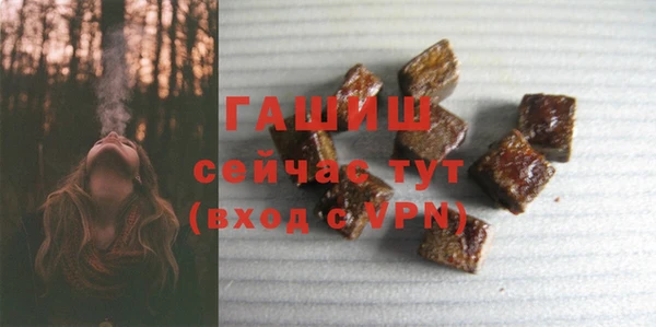 прущий лед Новозыбков