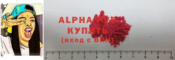 прущий лед Новозыбков