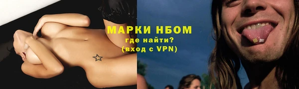 прущий лед Новозыбков