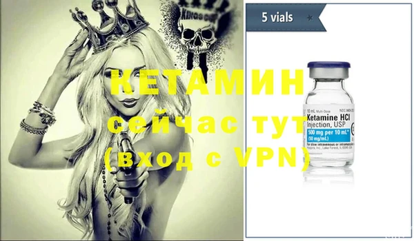 стаф Новодвинск