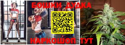 индика Гай