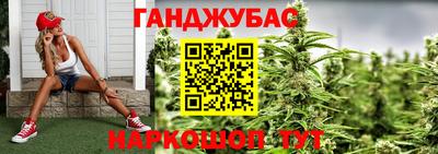 индика Гай