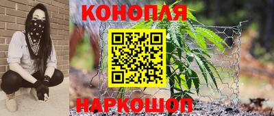 прущие крисы Гагарин