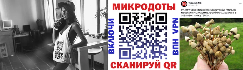 дарнет шоп  Кинель  Галлюциногенные грибы Cubensis 