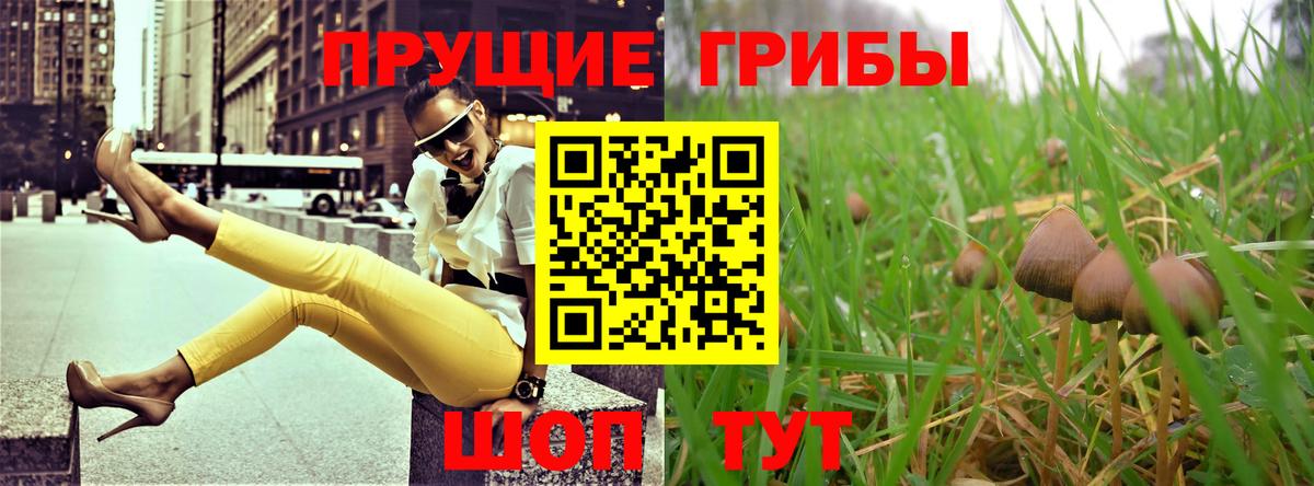 купить   Псилоцибиновые грибы мухоморы  Вход с VPN  Галлюциногенные грибы мухоморы  Кинель 