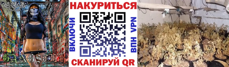 Каннабис гибрид  Кинель 