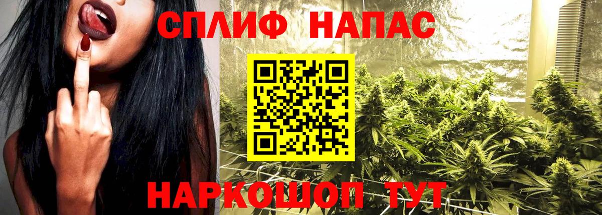 Шишки марихуана сатива Кинель